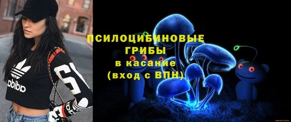 ПСИЛОЦИБИНОВЫЕ ГРИБЫ Белоозёрский
