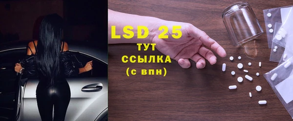 трава Белокуриха