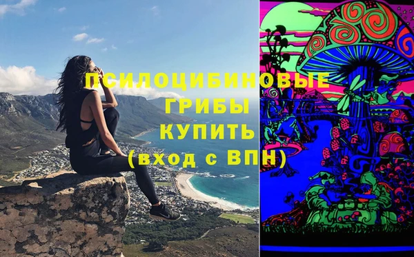 трава Белокуриха