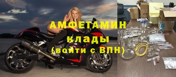 трава Белокуриха