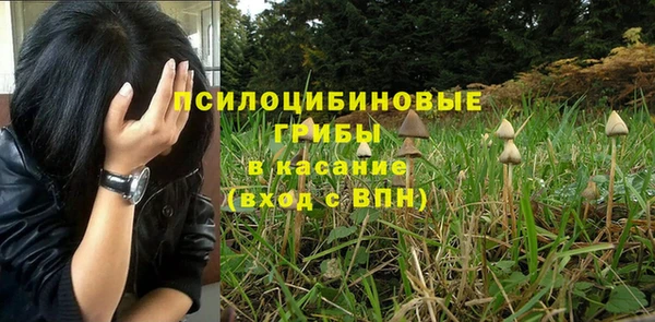 ПСИЛОЦИБИНОВЫЕ ГРИБЫ Белоозёрский