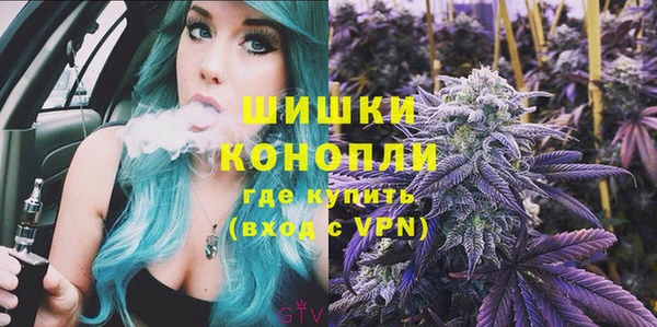 трава Белокуриха
