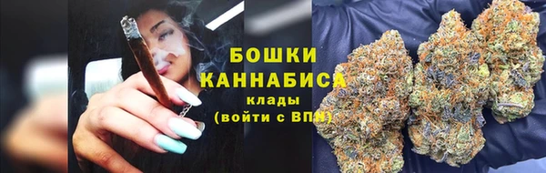 трава Белокуриха