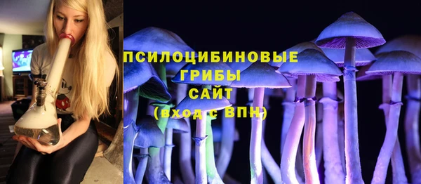 трава Белокуриха