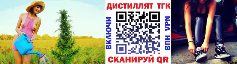 купить наркоту  ОМГ ОМГ ссылки  ТГК гашишное масло  Альметьевск 