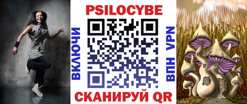 где можно купить наркотик  Альметьевск  Галлюциногенные грибы Psilocybe 